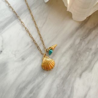 Big Shell Necklace